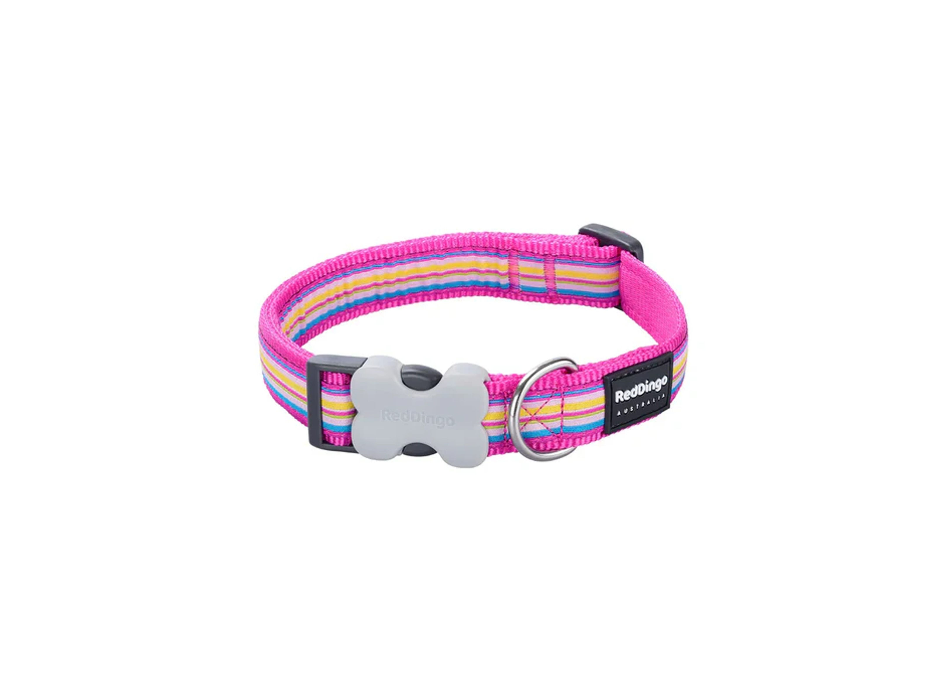 red dingo adjustable dog collar puppy collar in hot pink and colourful stripes with quick release clip and strong d-ring