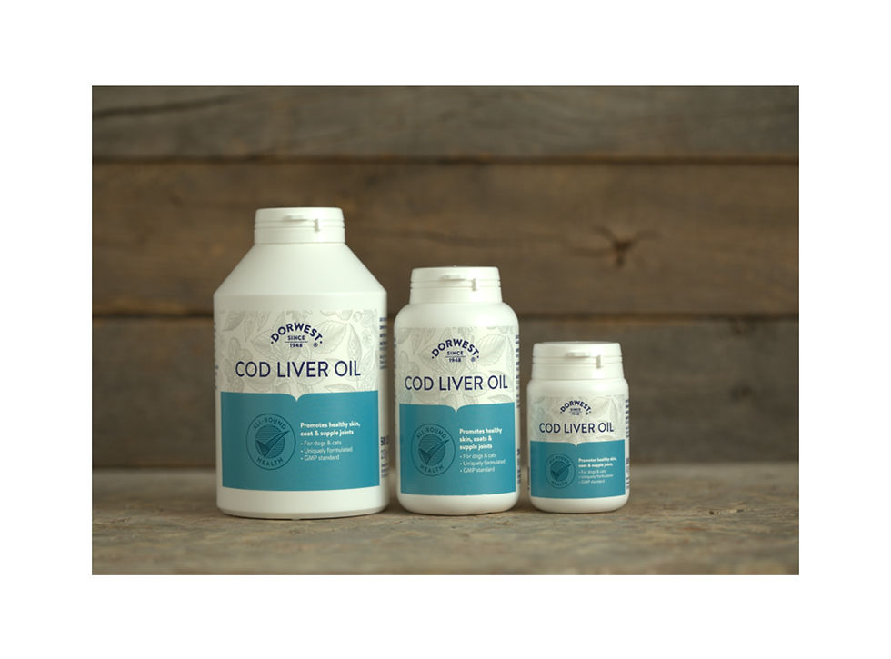 Cod Liver Oil Tablets - Dorwest Herbs