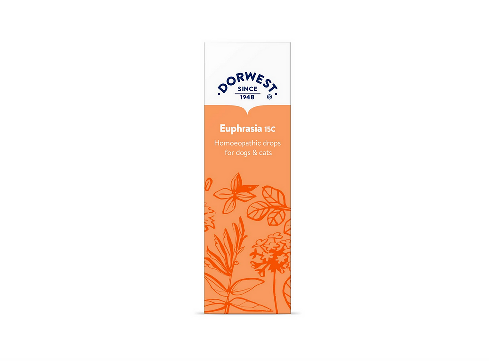 Thumbnail: Euphrasia 30C Liquid - 15ml - Dorwest Herbs