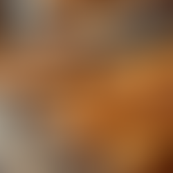 How to Choose the Best Treats for Your Dog's Diet