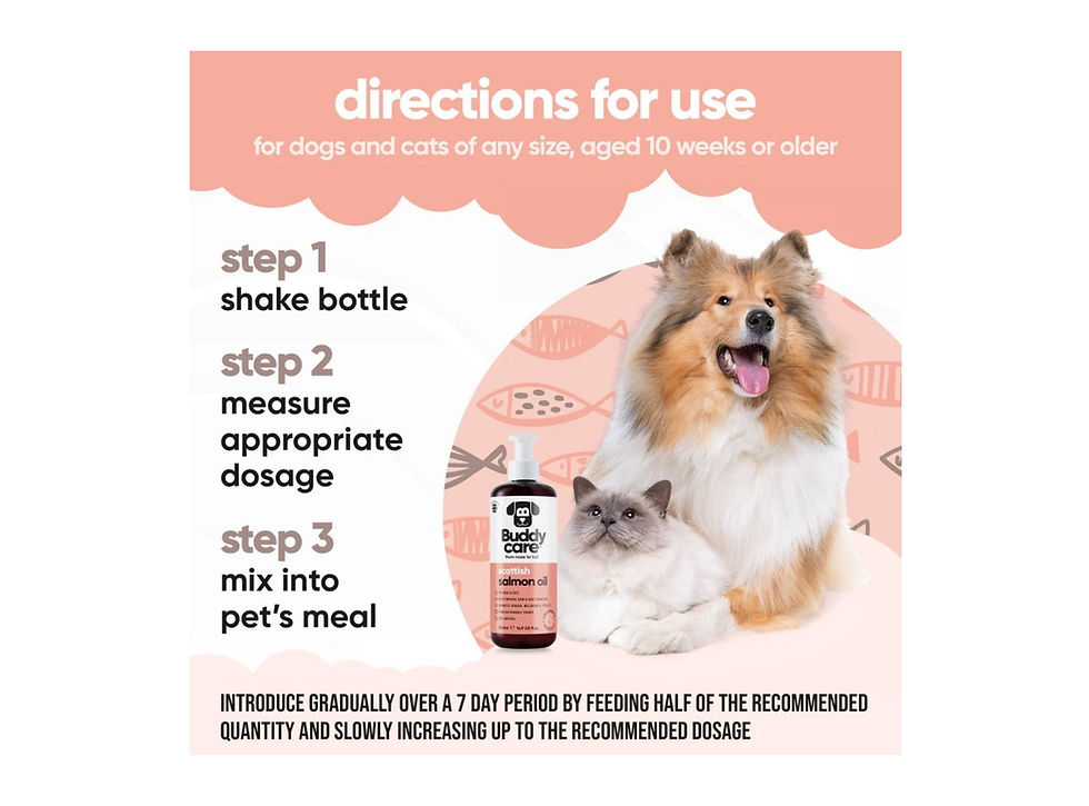 usage instructions for buddycare salmon oil for dogs and cat