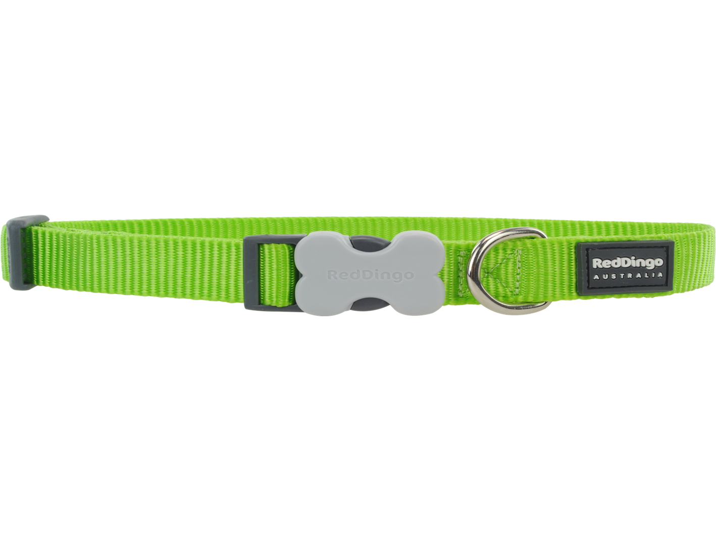 Red Dingo Adjustable Dog Collar in Classic Lime Green with bucklebone clip available in four sizes.