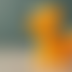 Best Toys for Bonding with Your Dog