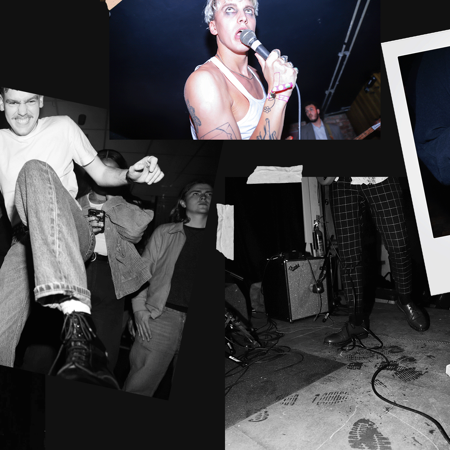 DM-collage_05.gif