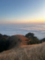IMG_7445.jpeg