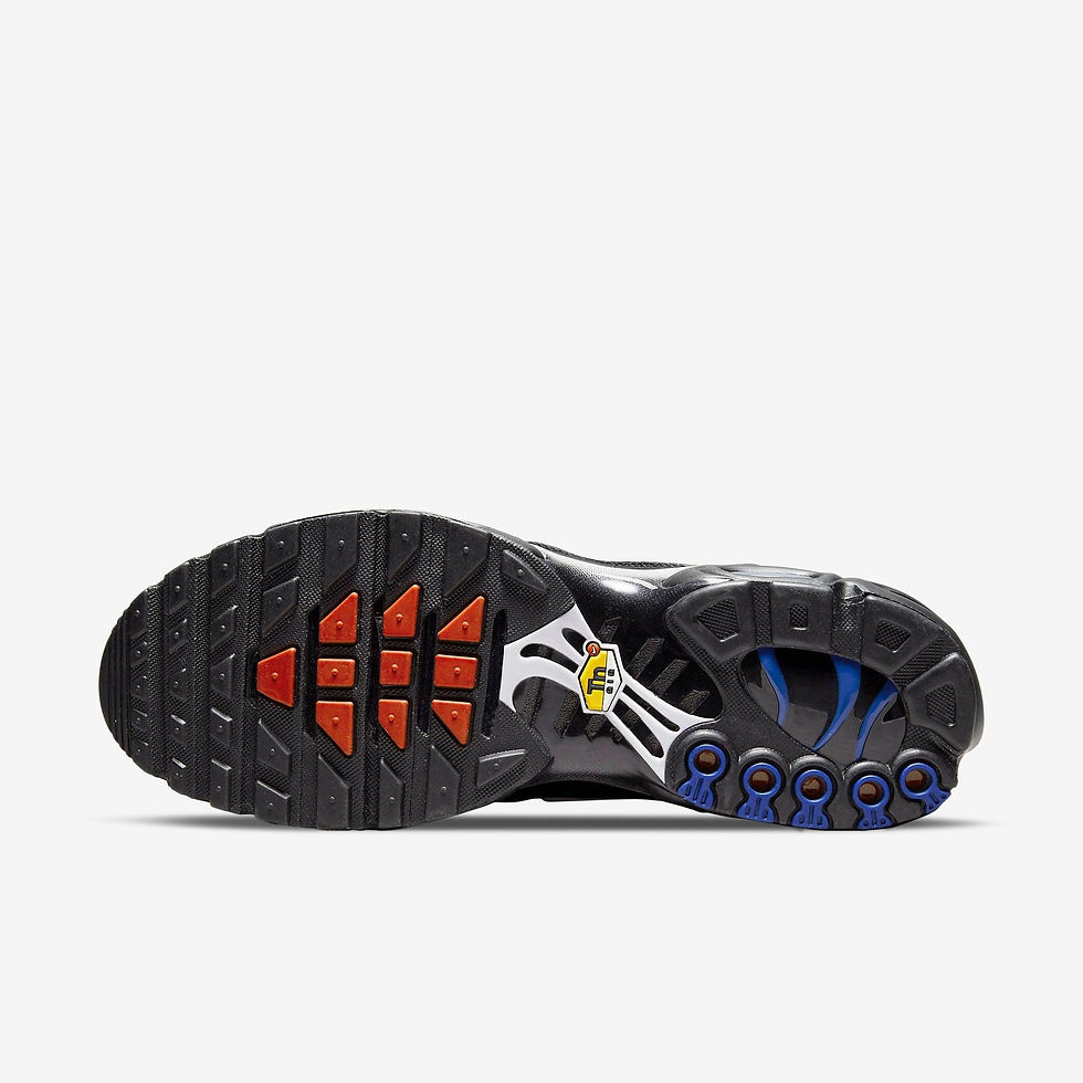 Μικρογραφία: Air Max Plus France