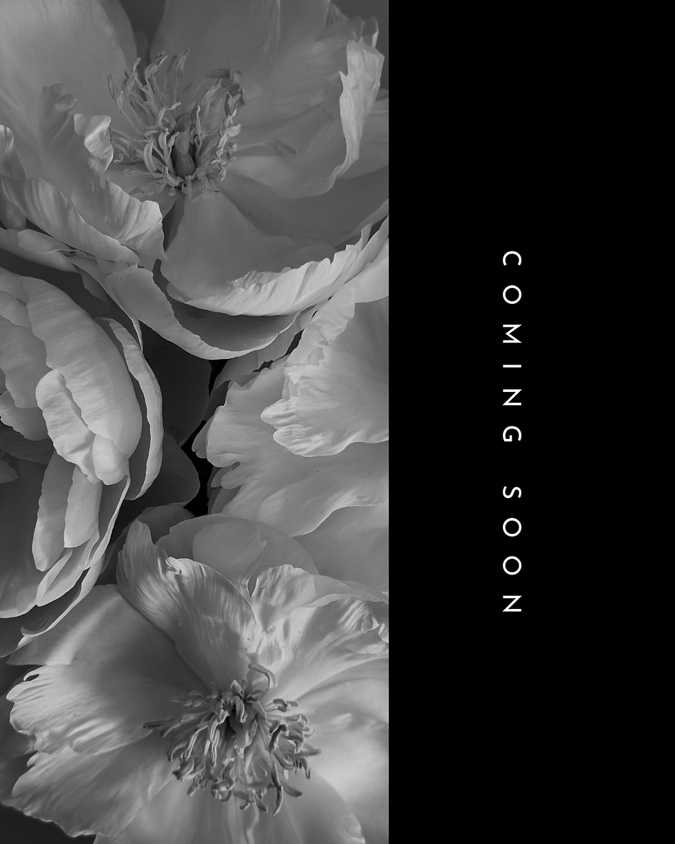 Bianco Nero Estetico Elegante Collage di Foto Post Instagram.png