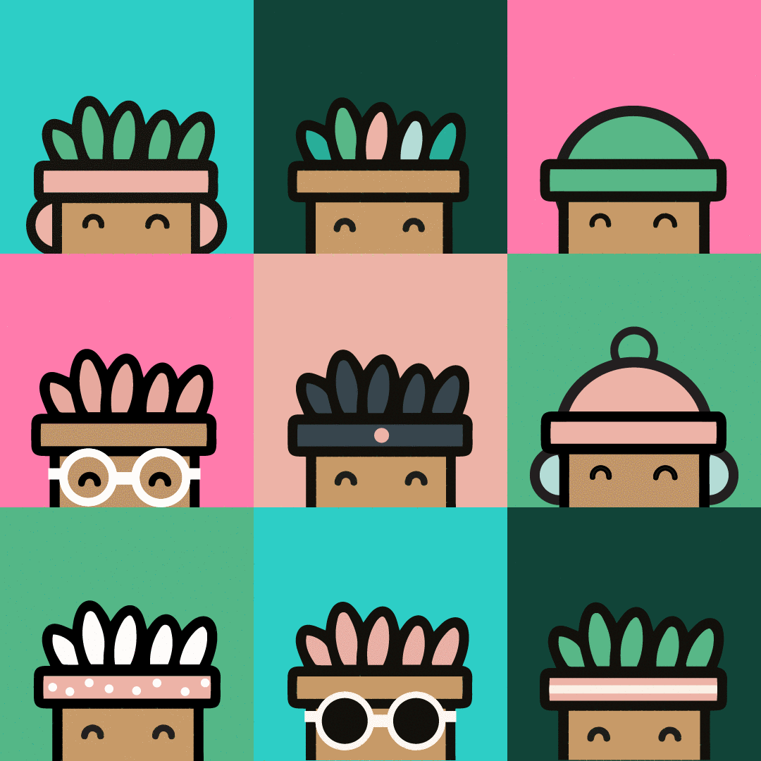 Shookit friends