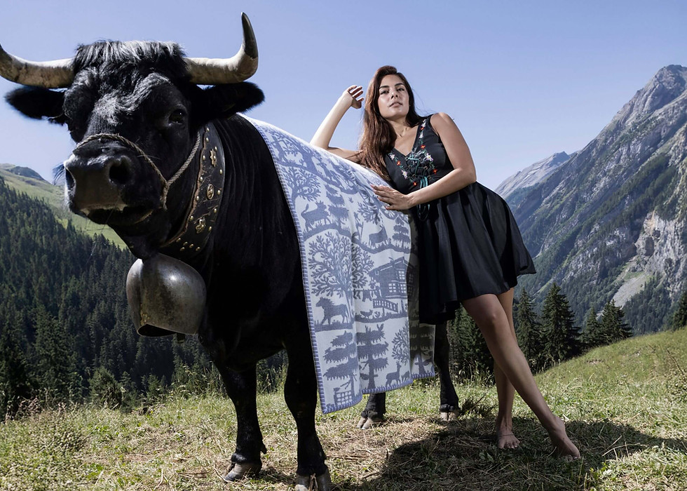 Model Posing with a Poya Luxury Merino Throw Blanket on a Cow | Viñas Genève