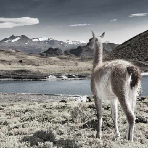 Brand Values: A Real-World Scenario