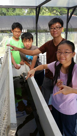 884_584799621695626_3698101896144323177_n