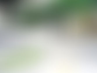 【案内】一志伊賀ブロック結成47周年記念例会