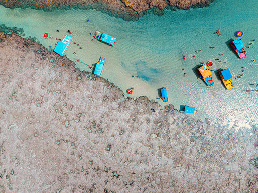 Os Principais Passeios em São Miguel dos Milagres: O Paraíso das Águas Transparentes de Alagoas