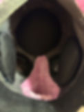 IMG_0895.jpeg