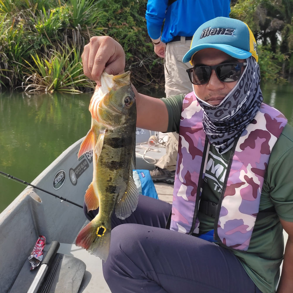 Hardworking Angler Malaysia fresh water guided fishing report