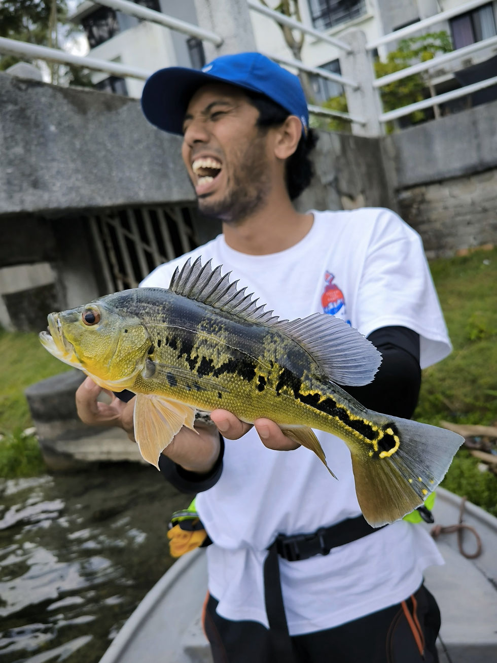 Kuala Lumpur urban peacock bass fishing