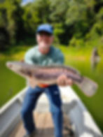 Royal Belum Giant Snakehead Expedition