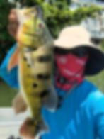 Kuala Lumpur urban peacock bass fishing