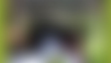 A contemplation for these times...