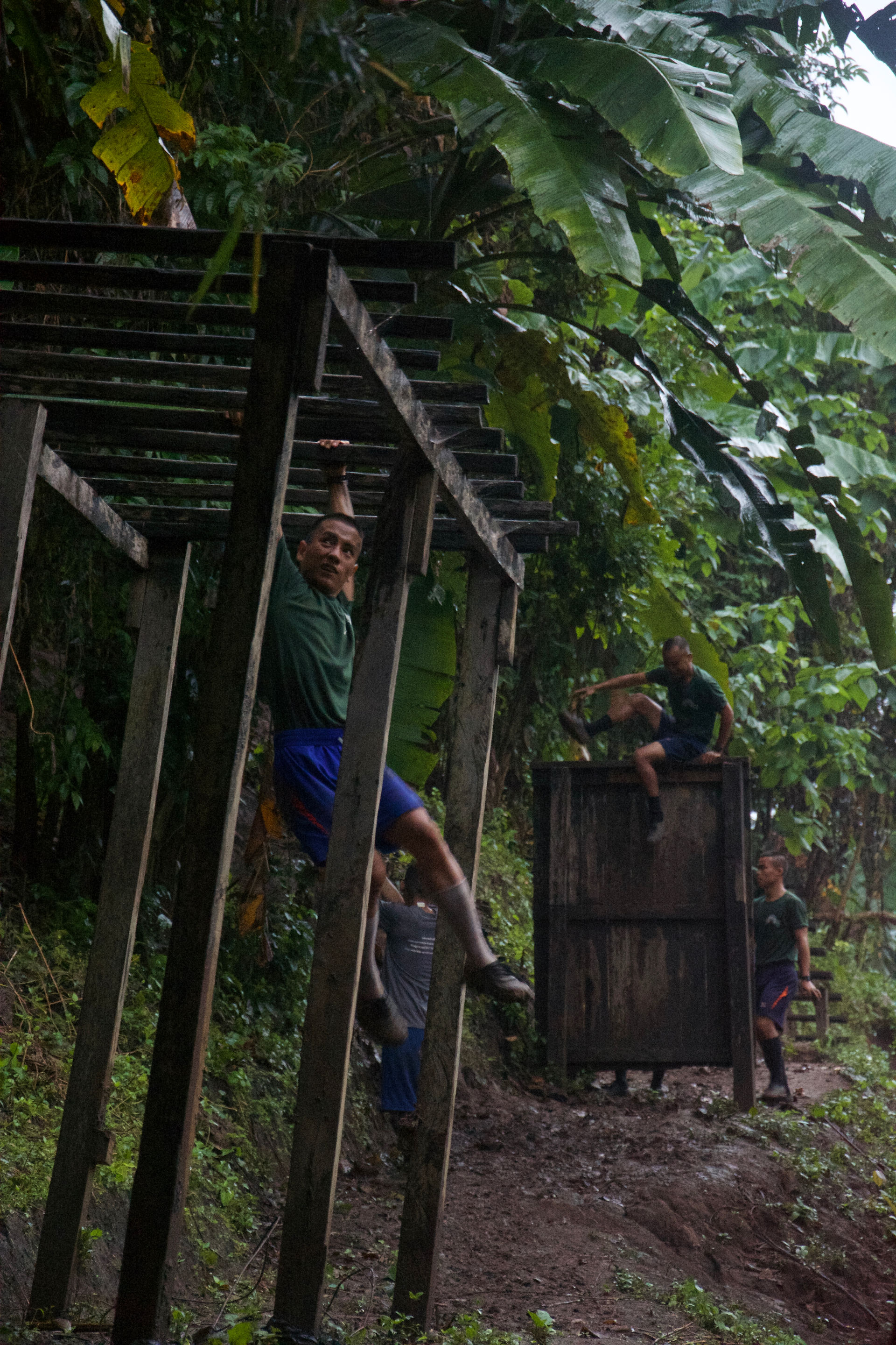 Monkey Bars