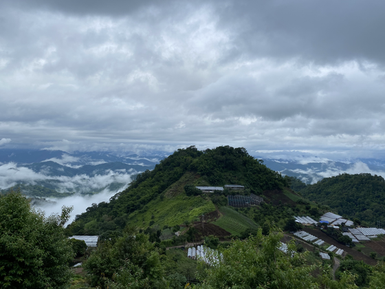 The Rain, the Coup, COVID, and Life