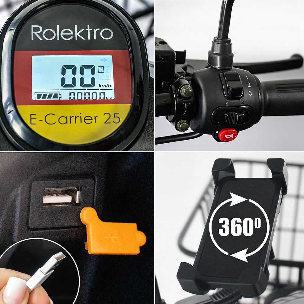 Miniaturbild: Rolektro E-Carrier 25 V.2 Blei-Gel, Rot, mit XXL-Koffer