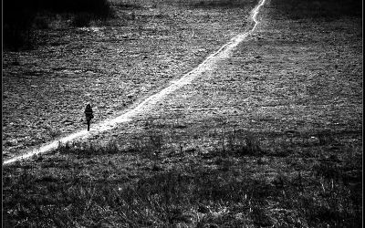 Embrace the Narrow Path