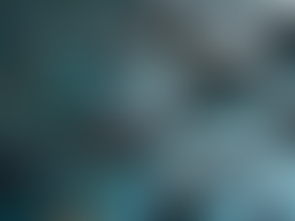 Exploring Modular System Design Principles