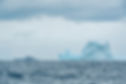 20220207_NZDF_K1028063_007.jpg
