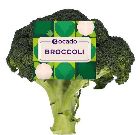 Calabrese Broccoli