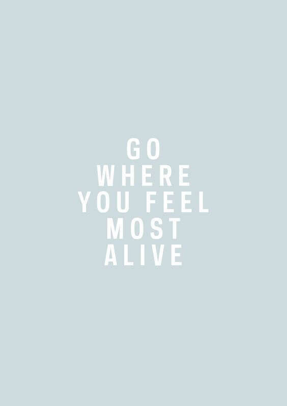 Quote - Its Show Time