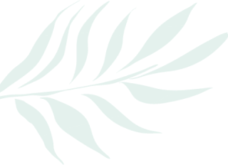 ヤシの葉.png