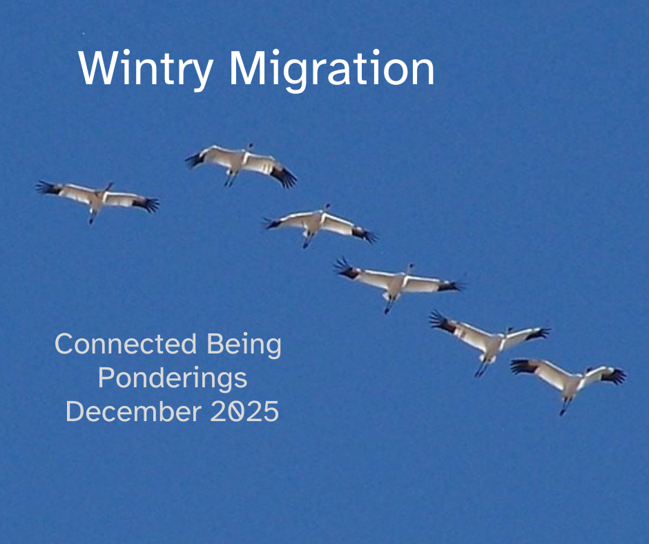 photo credit: Josh More/Flickr