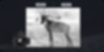 Thumbnail: Rix Optics Leap 6R RET Mode Image Adjustment