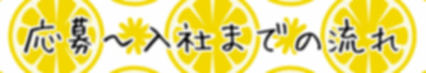 アイアール求人サイト「募集要項」