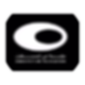 dubai foundation.png