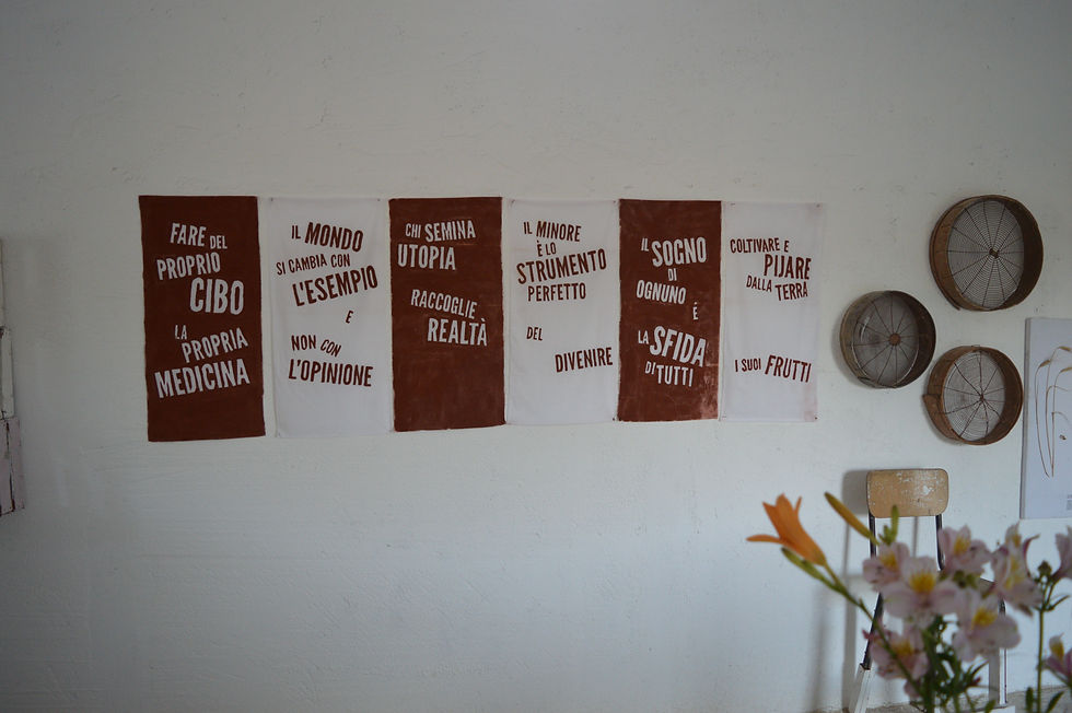 IL NUOVO STATUTO DELL'ASSOCIAZIONE