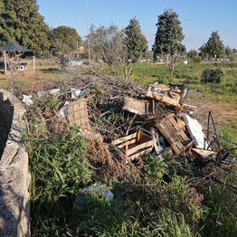 Lettera per la Terra e il suo Ecosistema