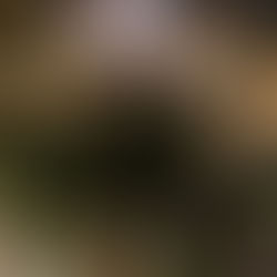 "Agitiamoci, organizziamoci contro chi vuol essere il nuovo padrone"