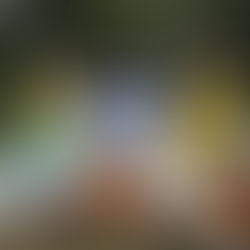 Giornata Mondiale delle Api: il programma sulla pagina facebook di Casa delle Agriculture