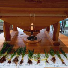 Buon terzo compleanno, Mulino di Comunità