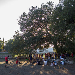 I parlamenti rurali della Notte Verde '22