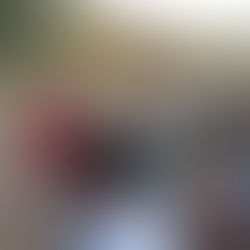 Un ponte tra il Salento ed il Kenya. L’esperienza di agricoltura organica e rigenerativa di Karibuni