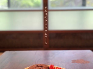 2024.04.22|1名様のご宿泊でした🌷