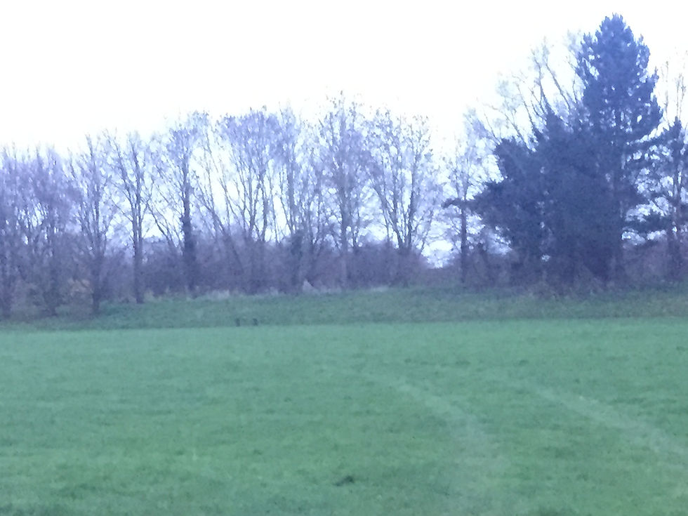 image11
