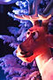 decoration de noel ville et village espace public decomoove resine automate bulle vitribulle chalet kiosque bois sapin scénographie scène saynète animalier gourmand hivernale banquise blanc luineux