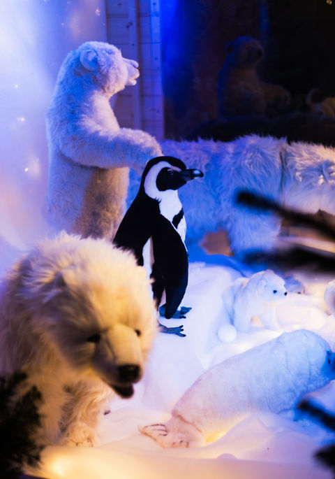 Chez DECOMOOVE nous sommes spécialistes des décorations de Noël sur-mesure, nous créons des univers décoratifs immersifs avec des vitrines d'automates exclusives et des scénographies de personnages en résines qui transforment chaque lieu en expérience inoubliable.