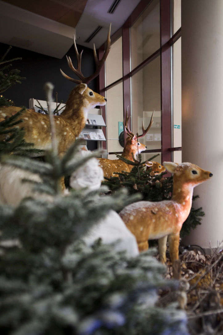 decoration de noel ville et village espace public decomoove resine automate bulle vitribulle chalet kiosque bois sapin scénographie scène saynète animalier gourmand hivernale banquise blanc luineux