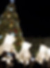 Chez DECOMOOVE nous sommes spécialistes des décorations de Noël sur-mesure, nous créons des univers décoratifs immersifs avec des vitrines d'automates exclusives et des scénographies de personnages en résines qui transforment chaque lieu en expérience inoubliable. Nos parades lumineuses apportent une dimension vivante et spectaculaire à vos événements, captivant les publics et créant des moments forts en émotion. Nos réalisations valorisent votre image en alliant qualité, durabilité et créativité. Faites le choix d'un partenaire expert pour donner vie à vos événements.