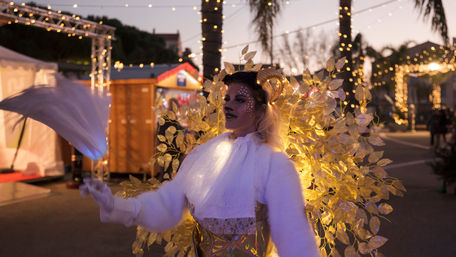 parade lumineuse decomoove majestik